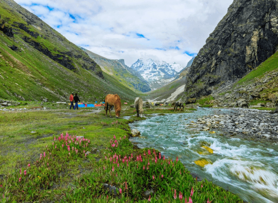 A scenic valley with a flowing river